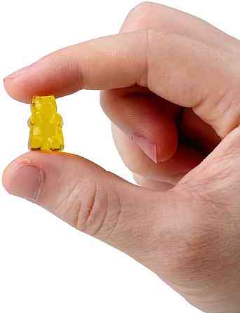 Молд из силикона Мишка 185 на 136 мм синий Киев