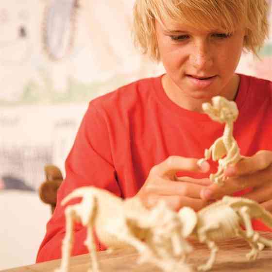 Набір для розкопок 4M Скелет стегозавра (00-03229) Харків