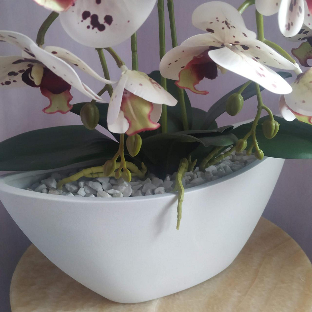 Штучна латексна орхідея VIP в керамічному кашпо на три гілки біла з бордовою крапкою. Дніпро - фото 4