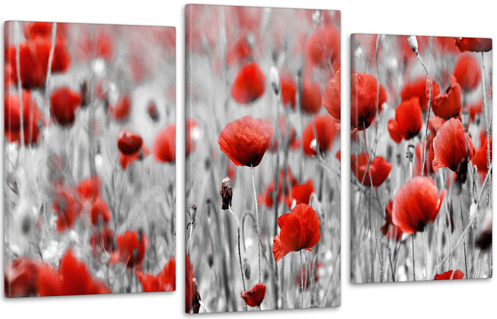 Модульна картина Квіти Маки (53х100см) Art-137_3 Київ - фото 1