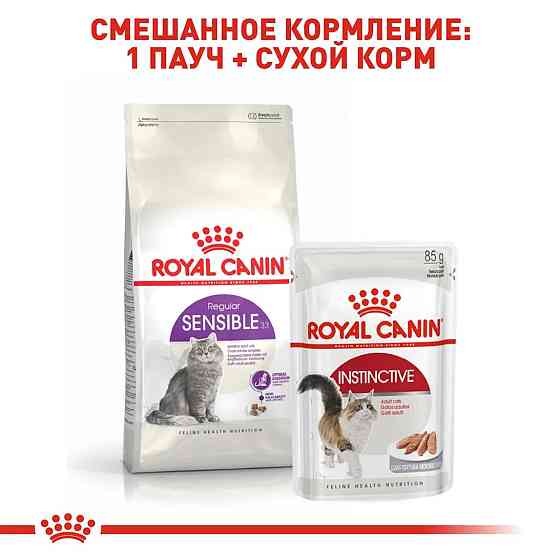 Royal Canin Sensible 33 (Роял Канін Сенсібл) сухий корм для котів при слабій травній системі з 12 міс. 2 кг. Запоріжжя