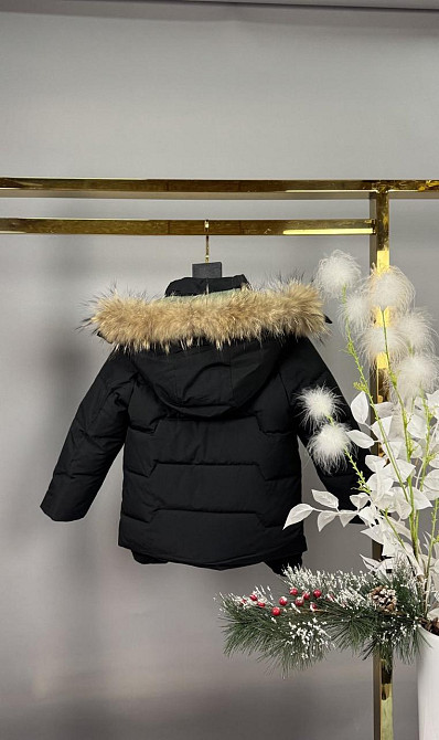 Дитяча зимова курточка для хлопчика з рукавицями на холофайбері 98,104,110,116,122 Миколаїв - фото 3