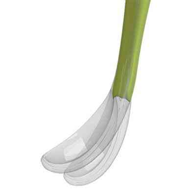 Набор детской посуды Chicco ложечка мягкая силиконовая 6+ мес (зеленая) (06828.51) Винница