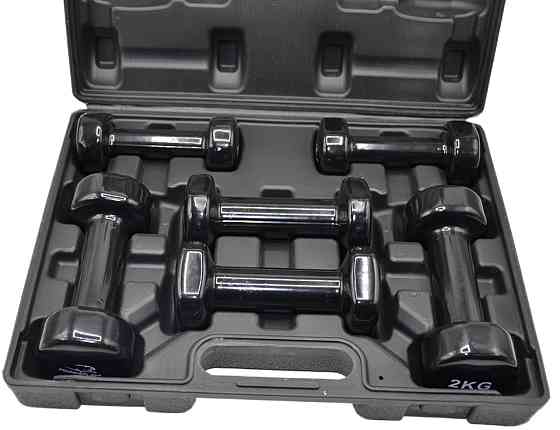 Набір гантелей в кейсі 9 кг. PowerPlay 4121 Fitness Dumbells (2шт.*1кг. 2шт.*1,5кг. 2шт.*2кг.) Кам'янське