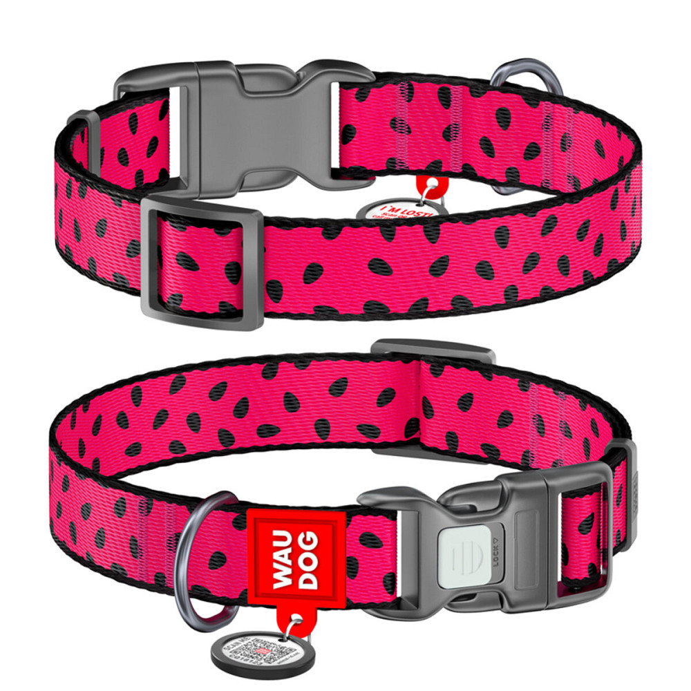 Ошейник для собак нейлоновый WAUDOG Nylon с QR паспортом, рисунок 