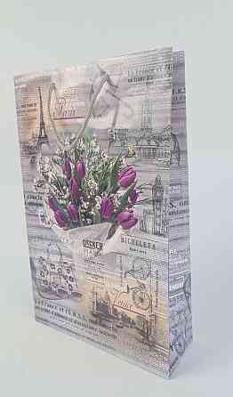 Великий паперовий пакет вертикальний 25/37/8 (артBV-156) (12 шт.) Харків