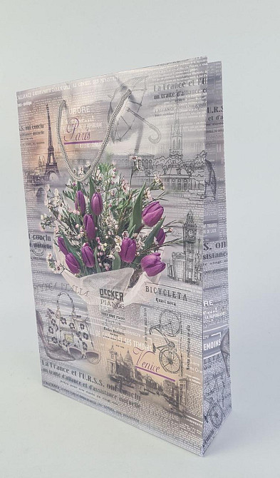 Великий паперовий пакет вертикальний 25/37/8 (артBV-156) (12 шт.) Харків - фото 1