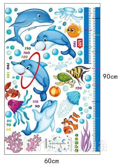 Дитяча наклейка ростомір Дельфіни Київ - фото 5