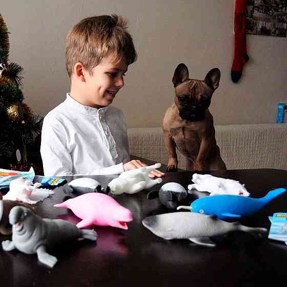 Стретч-іграшка у вигляді тварини – Володарі криги Дніпро