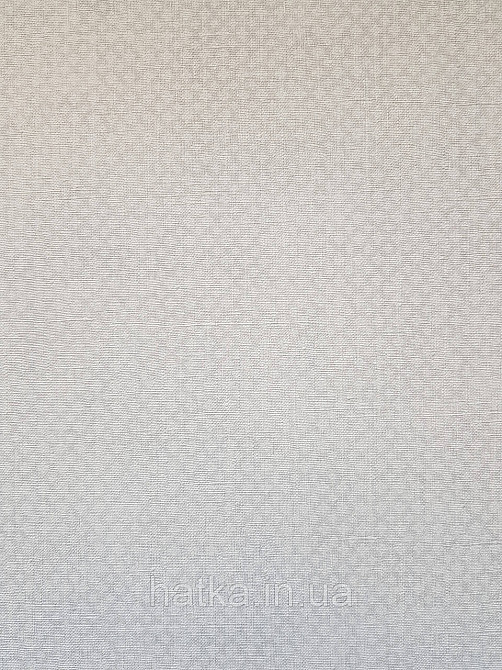 Шпалери вініл на флізеліні A.S.Creation Maison charme 0.53x10 у крапку дрібну сіточку сірі білі Київ - фото 3