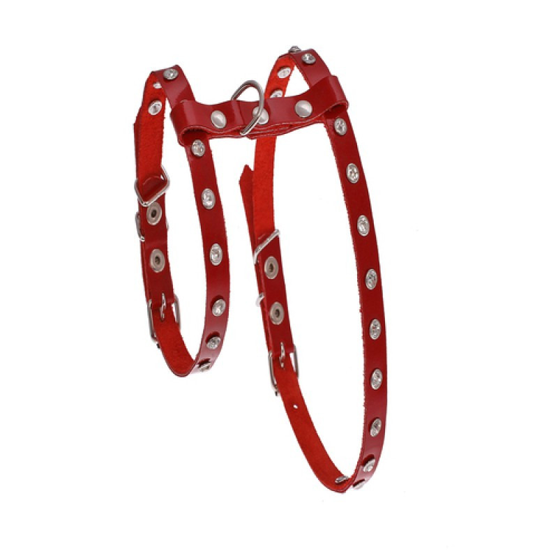 7862 Комплект "ЕЛЕГАНТ" кішка"1 прикрашений стразами Червоний Вінниця - фото 1