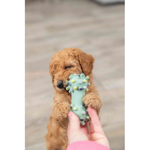 Іграшка Trixie Junior Mini Dumbbell для цуценят Гантель голчаста латекс 10 см Київ - фото 4