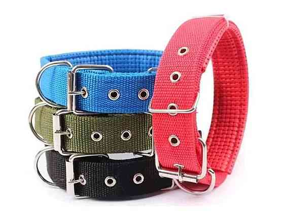 Ошейник Капрон 42см 20мм двойной с подшивкой ТМ DOG COLLAR Киев