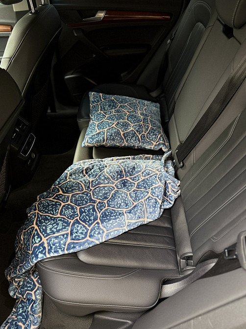 Ecotton Набір для подорожі Ecotton 2 в 1 Подушка 40х40 плед 110х140 блакитний FL-087 Киев - изображение 2