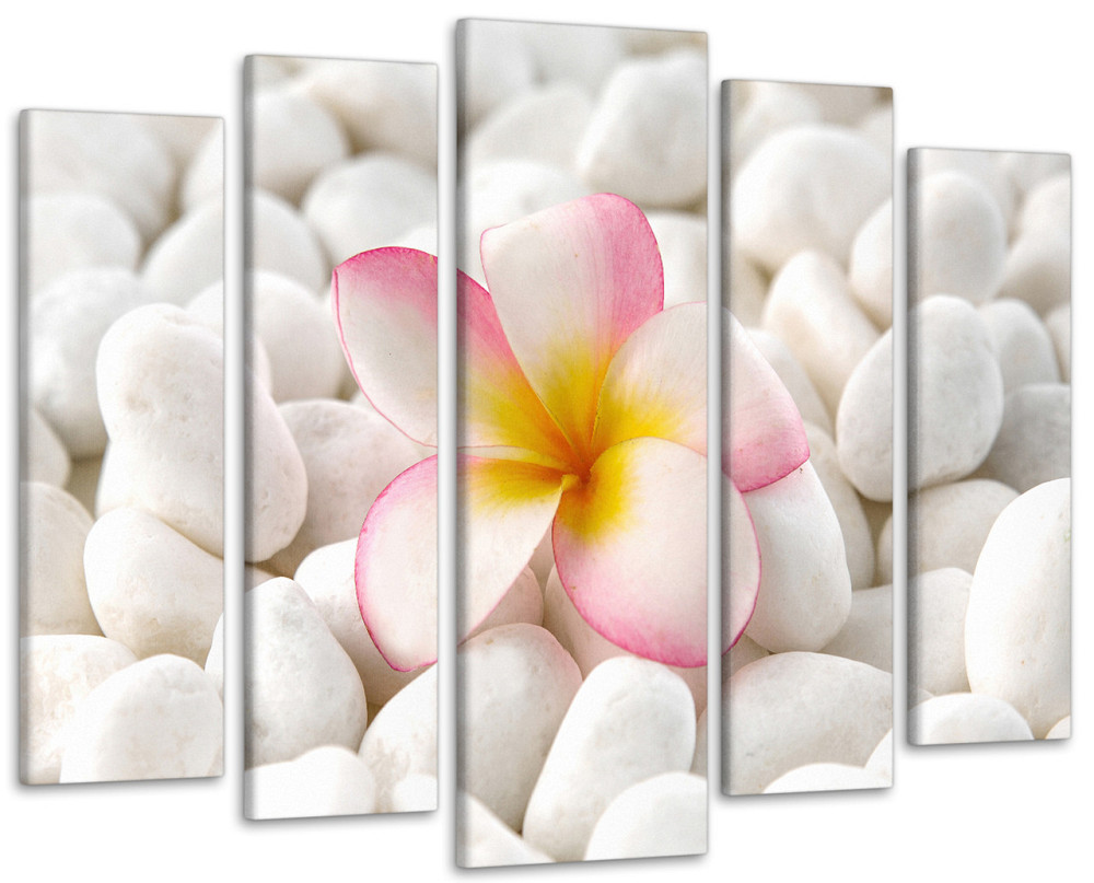 Модульная картина Цветок на камнях Art-295_5 ( 80х118см ) 105x150 см Киев - изображение 1