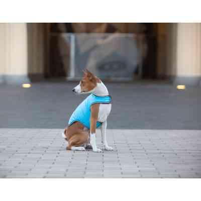 Курточка для тварин Airy Vest L блакитна (15442) Вінниця