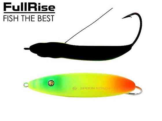 Воблер-незацепляйка Spoon Roach 22г 8,0см 25-006-11 11 ТМ FISHING ROI Київ