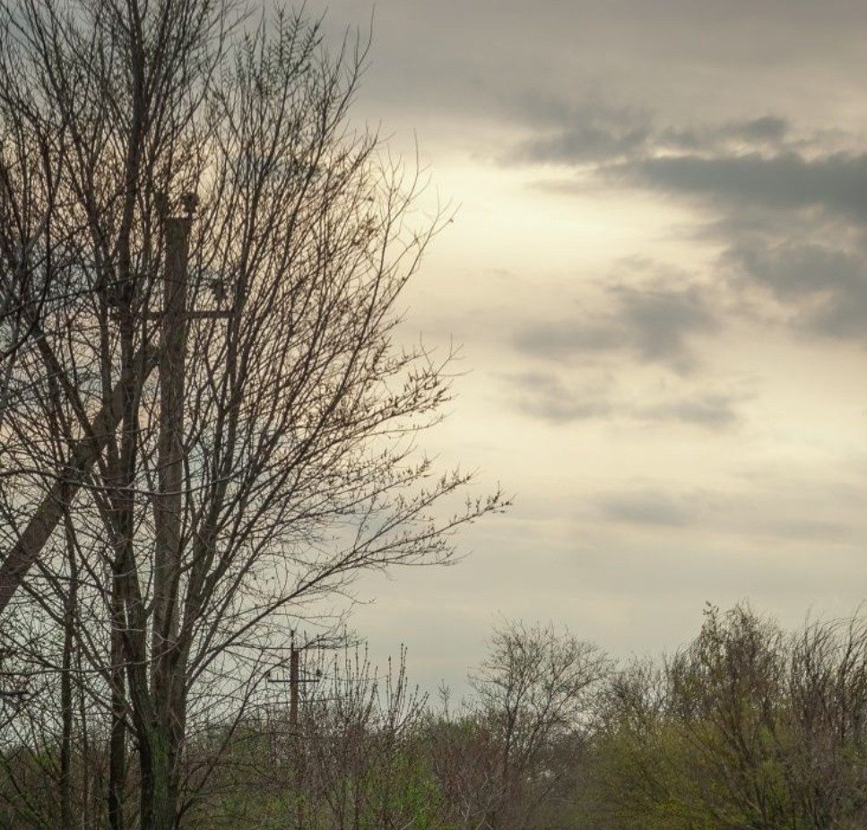 Объектив Nikon Nikkor 28-105mm f3,5 -4,5 D. Киев - изображение 1