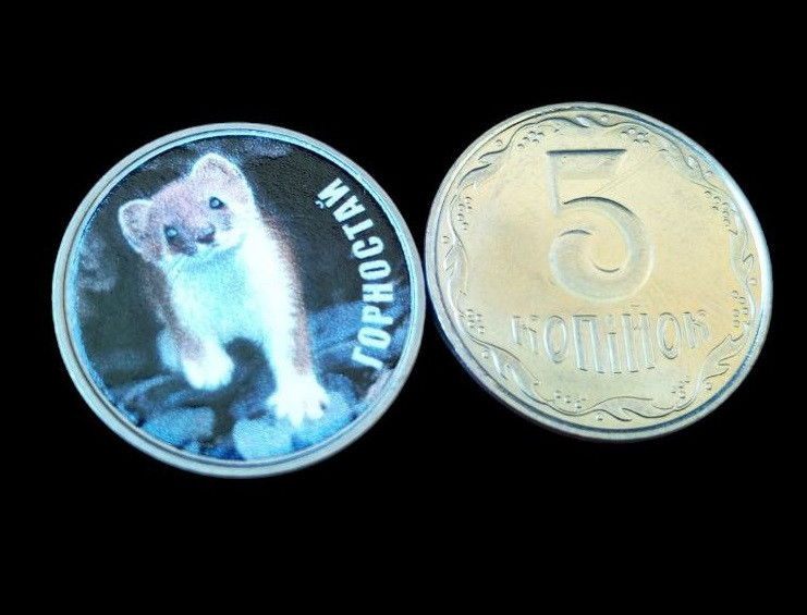 Україна 5 копійок монета нової серії ПРИРОДА УКРАЇНИ ГОРНОСТАЙ Полтава - фото 1