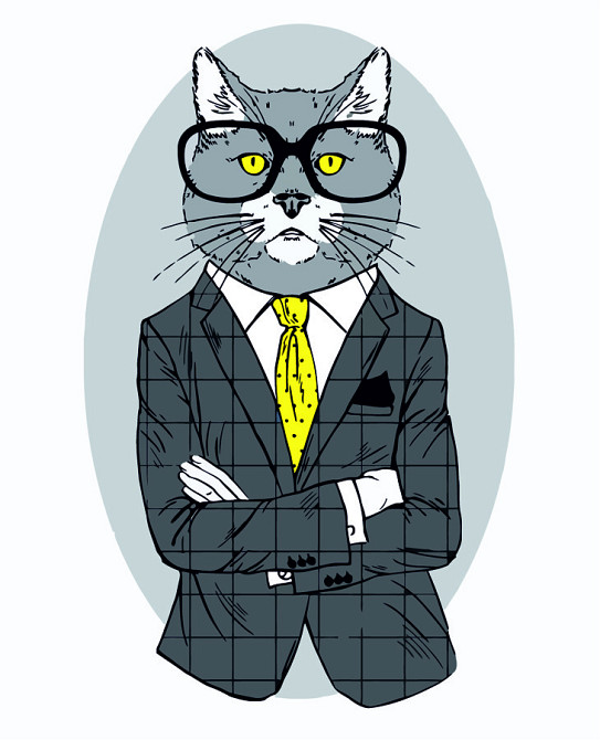 Картина за номерами „Fashion Cat“ 35×45см ROSA START Київ - фото 1
