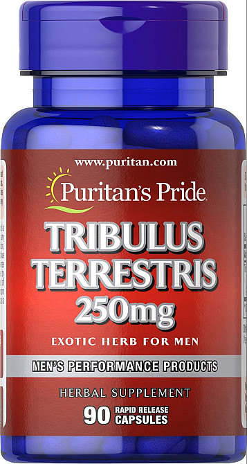 Tribulus Terrestris 250 mg  90 caps Луцк - изображение 1