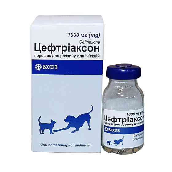 Цефтріаксон 1 г (1000 мг) БХФЗ (ветеринарний) Вінниця