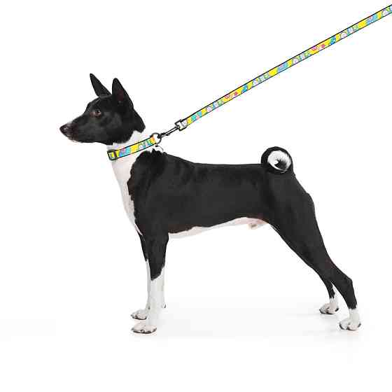 Поводок для собак нейлоновый WAUDOG Nylon, рисунок 