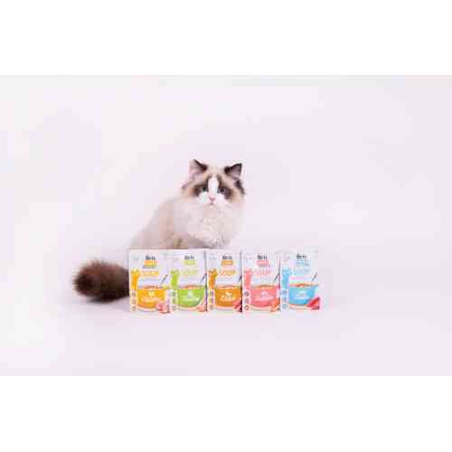 Корм вологий Brit Care Soup Salmon для котів суп з лососем 75 г Київ