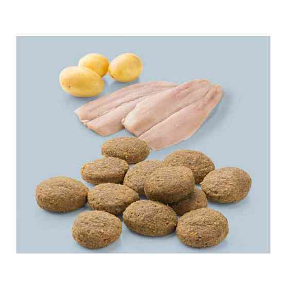 MERA Pure Sensitive fresh meat Hering Kartoffel (Мера Фреш Міт Сельдь Картопля) беззерновий корм для собак Запоріжжя
