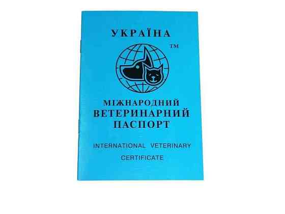 Ветеринарный паспорт для собак и котов ТМ O.L.KAR Solmir Киев