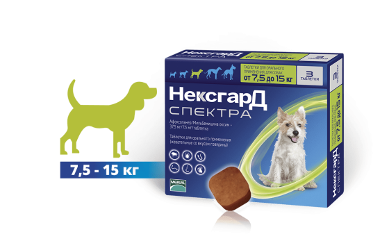 NexGard Spectra М (Нексгард Спектра М) таблетки проти кліщів, бліх і гельмінтів для собак вагою від 7.5 до 15 кг Запоріжжя