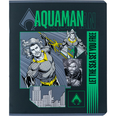 Тетрадь Kite DC Comics 24 листов, клетка (DC24-238) Винница - изображение 7