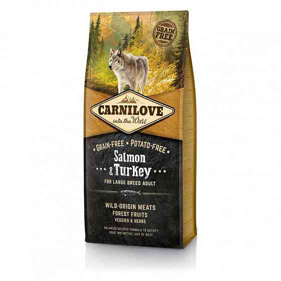 Сухий корм Carnilove Salmon & Turkey для дорослих собак великих порід, лосось та індичка, 12 кг Вінниця