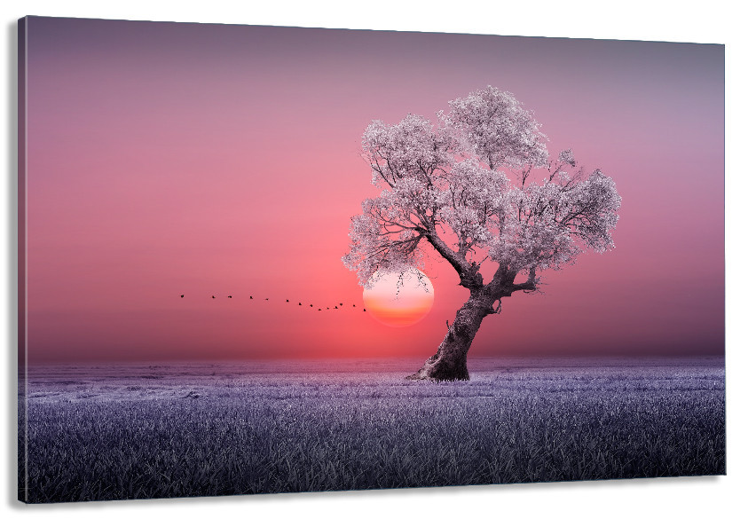 Картина холст в гостиную / спальню  Природа   MLP_322 80x120 см Киев - изображение 1