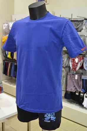 Футболка мужская Lans 12/001 XL, Синий Киев