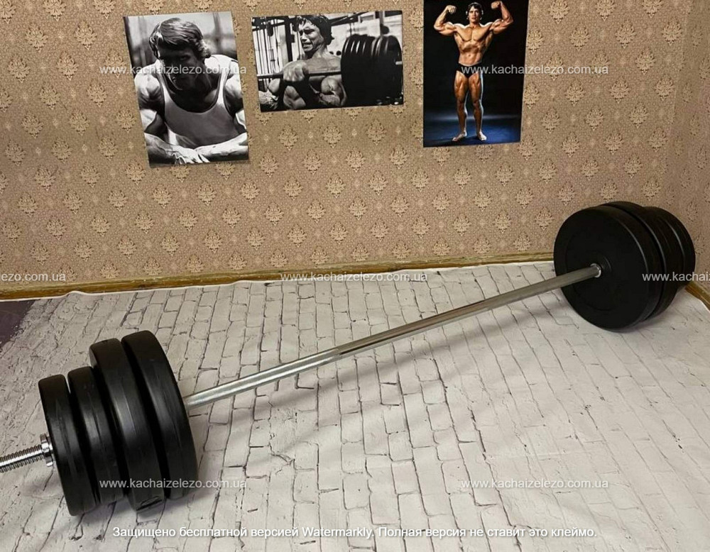 Штанга наборная + W-образный гриф с гантелями 120 кг Гантели, гири, штанги и диски ударостойкий пластик Киев - изображение 8