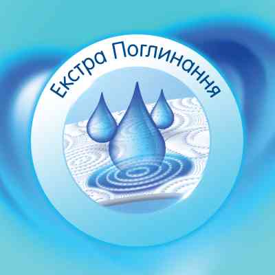 Паперові рушники Selpak Сomfort 2 шари 2 рулони (8690530008847) Вінниця