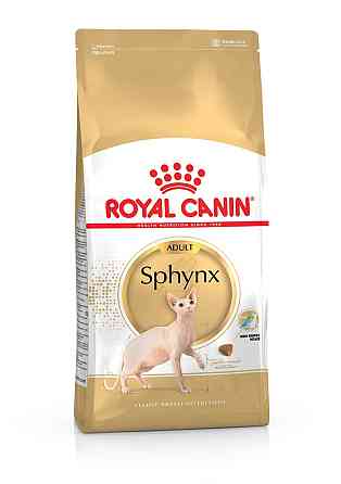 Royal Canin Sphynx Adult (Роял Канін Сфінкс Едалт) сухий корм для котів породи сфінкс від 12 місяців Запоріжжя