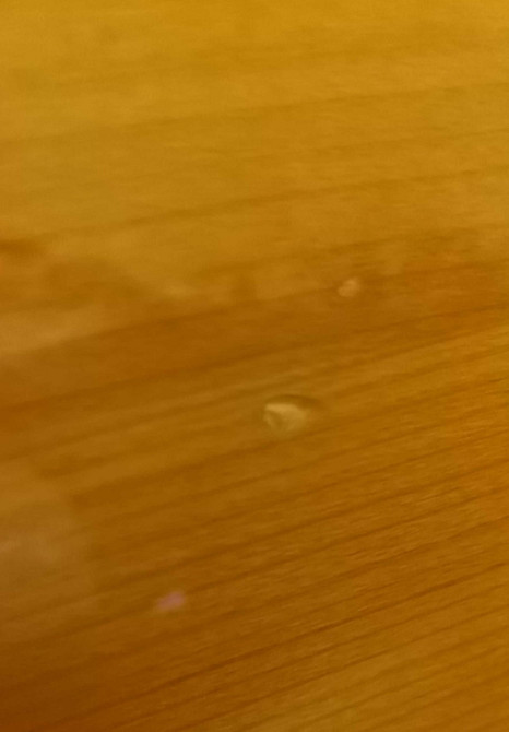 Акустика : Opera Secohdo SE Cherry. Харків - фото 7