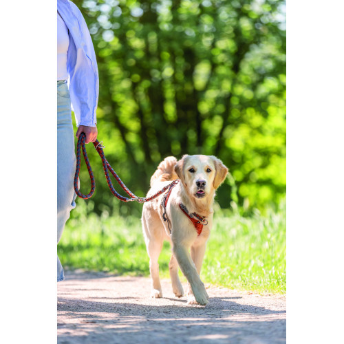 Ошейник Trixie Cavo для собак полуудавка L 47–55 см диаметр 18 мм рыже-графитовый Киев - изображение 3