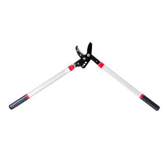 Сучкоріз садовий для обрізання гілок, 730 мм INTERTOOL FT-1112 Киев