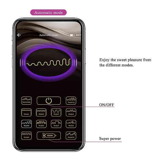 Віброяйце Poulsen App-Controlled Egg Vibrator 02 Sex Aura Київ