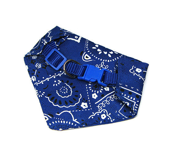 Нашийник для собак дрібних порід синій Київ - фото 2