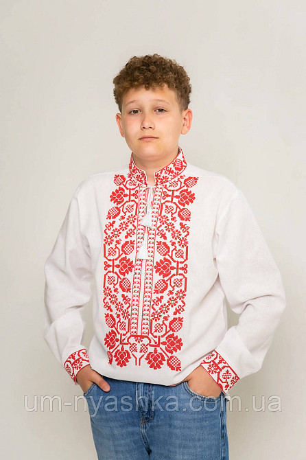 Семейные вышиванки парные вышиванки Familly look Кривой Рог - изображение 2