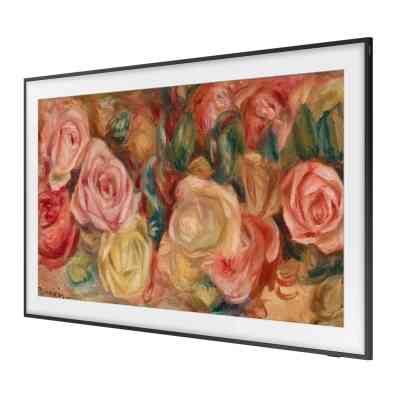 Телевизор Samsung QE43LS03DAUXUA Винница