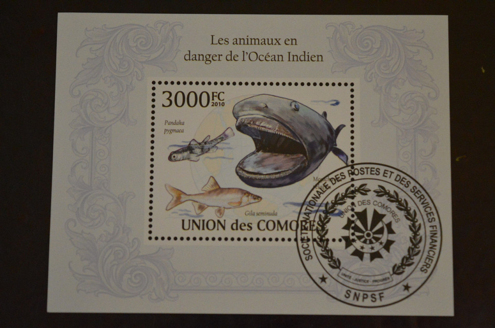 Коморы. Марки. Фауна. Блок. 2010 год (В-5) Полтава - изображение 1