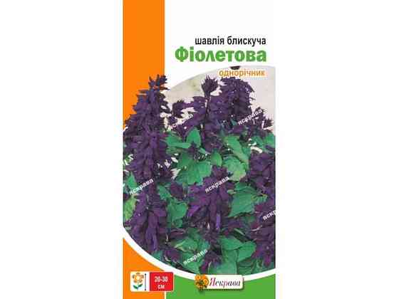 Шалфей блестящий Фиолетовый (20 пачек) 0.2г ТМ ЯСКРАВА Киев