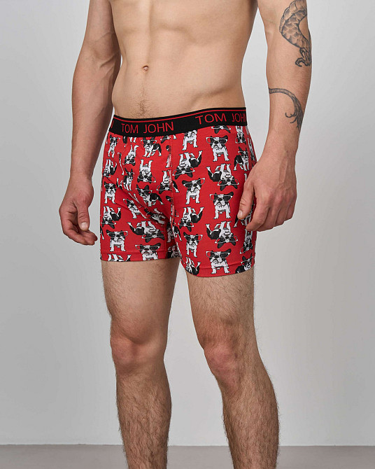 Боксеры мужские Tom John - Tiger 2200-7 M Киев - изображение 1