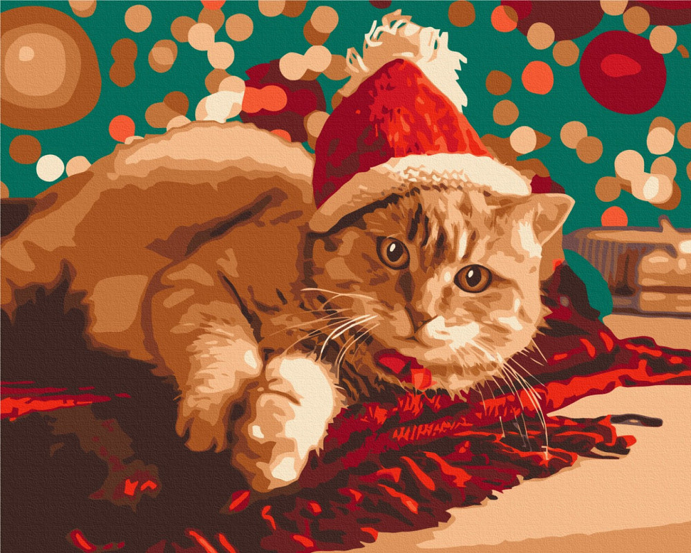 Санта котик Київ - фото 1