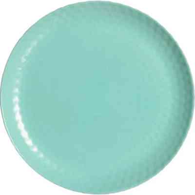 Тарілка Luminarc Pampille Light Turquoise 25 см обідня (Q4649) Вінниця